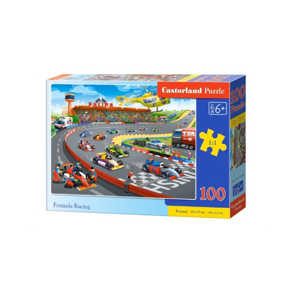 

Пазлы Castorland Гонки 100 элементов (TOY-53060)