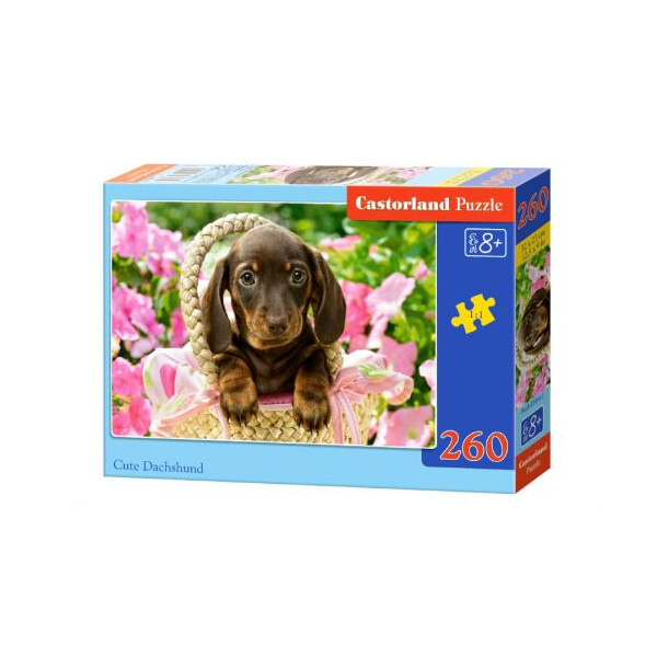 

Пазлы Castorland Милая такса 260 элементов (TOY-54961)