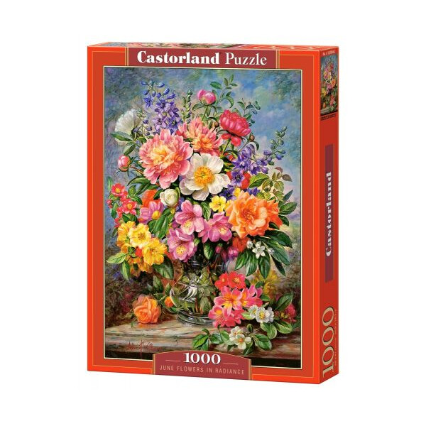 

Пазлы Castorland Летний букет 1000 элементов (TOY-44658)