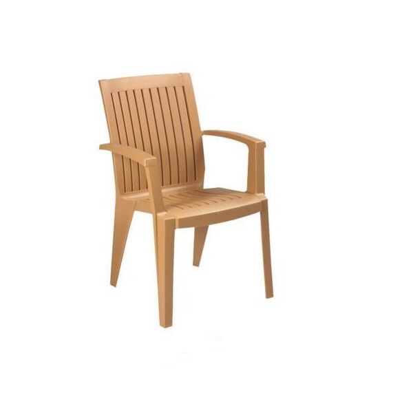 

Стул обеденный пластиковый Ализе Тик (Papatya-TM)