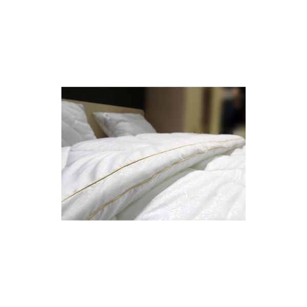 

Одеяло Soft Plus с кантом/ Софт Плюс с кантом 170х205 (Матролюкс-ТМ)