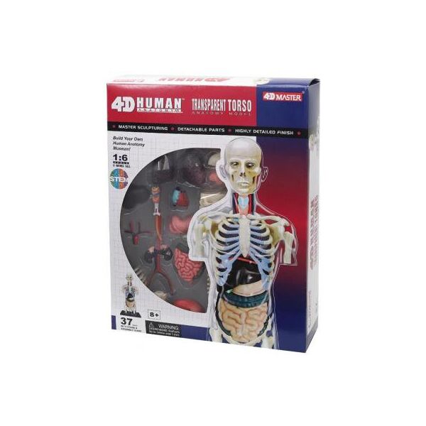 

Пазл 4D Master Объемная анатомическая модель Торс человека прозрачный FM-626108