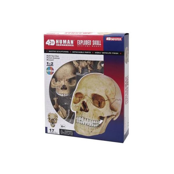 

Пазл 4D Master Объемная анатомическая модель Череп человека FM-626111