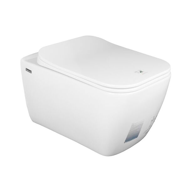 

Чаша подвесного унитаза с сиденьем US SC IDEVIT Halley SETK3204-2616-001-1-6000