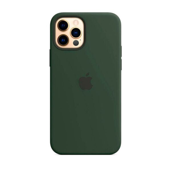 

Панель ARS Silicone Case with MagSafe для iPhone 12/12 Pro cyprus green (BS-0020)