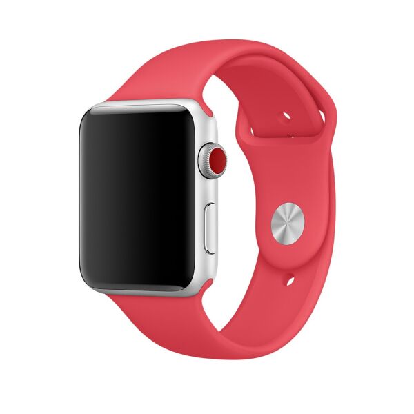 

Cиліконовий ремінець Sport Band для годинника Apple Watch 38mm/40mm Red Paspberry (SB-0065)