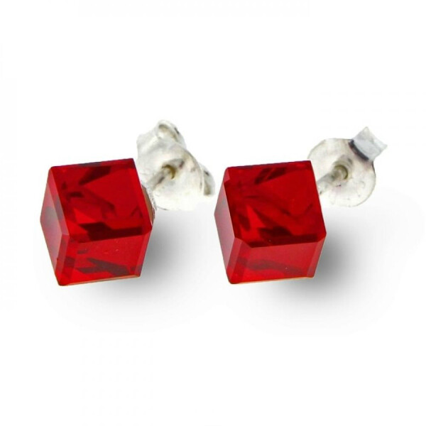 

Серьги с кристаллами Swarovski (828516)