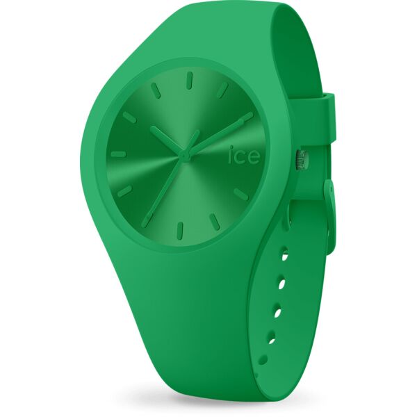

Часы Ice-Watch 017907