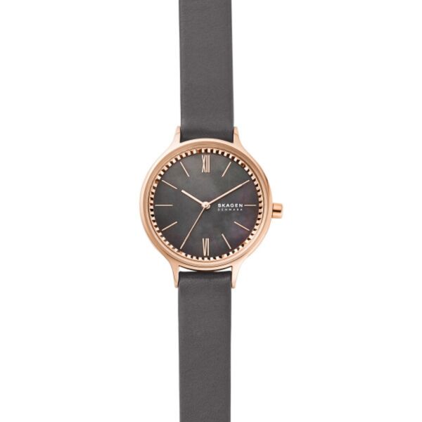 

Часы SKAGEN SKW2909