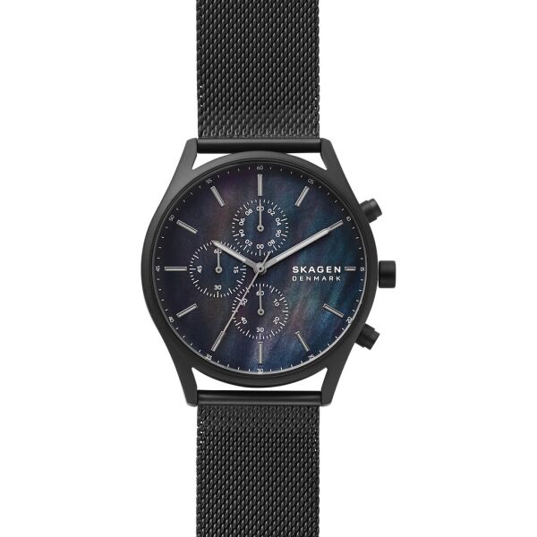 

Часы SKAGEN SKW6651