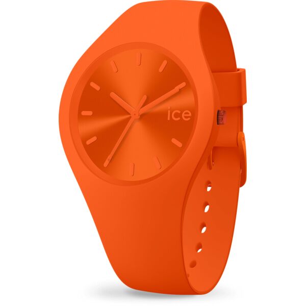 

Часы Ice-Watch 017911