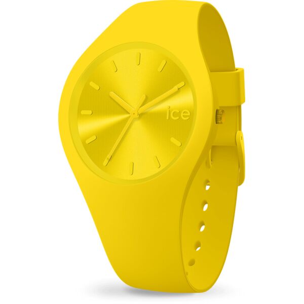 

Часы Ice-Watch 017909
