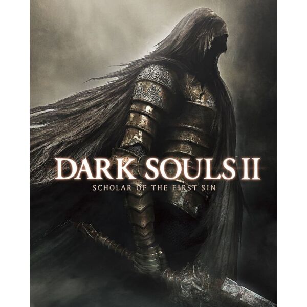 bandai namco entertainment  Dark Souls 2: Scholar of the First Sin   (  Steam)