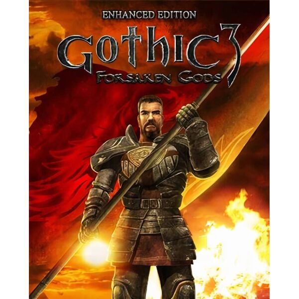 

Игра Gothic 3: Forsaken Gods – Enhanced Edition для ПК (Ключ активации Steam)