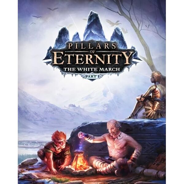 

Игра Pillars of Eternity – The White March: Part I для ПК (Ключ активации Steam)