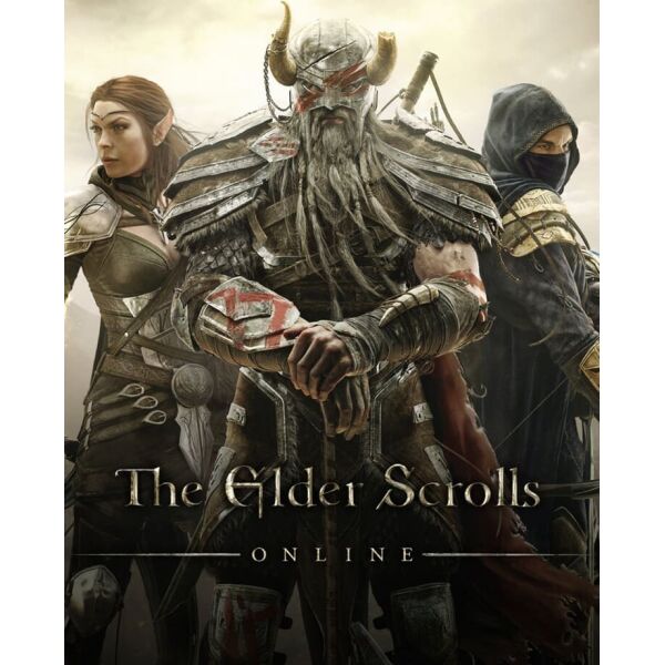 

Игра The Elder Scrolls Online для ПК (Ключ активации Bethesda)