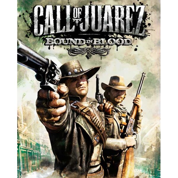 ubisoft  Call of Juarez: Bound in Blood   (  Steam)