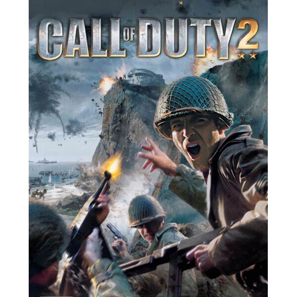 activision  Call of Duty 2   (  Steam)