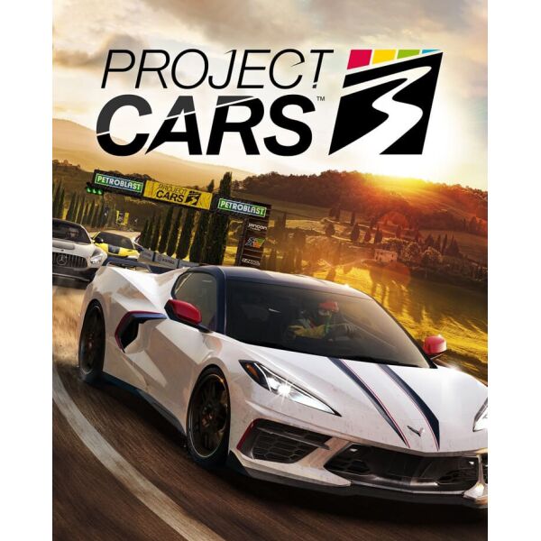 

Игра Project CARS 3 для ПК (Ключ активации Steam)