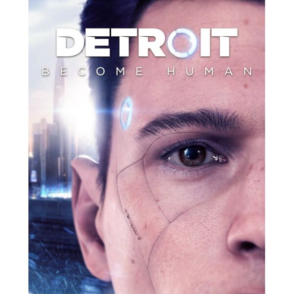 

Игра Detroit: Become Human для ПК (Ключ активации Steam)