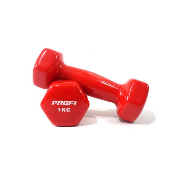 

Гантели для фитнеса виниловые цельные (неразборные) Profi Dumbbells Vinyl Красный (1 кг) (DB 1212-1-R)