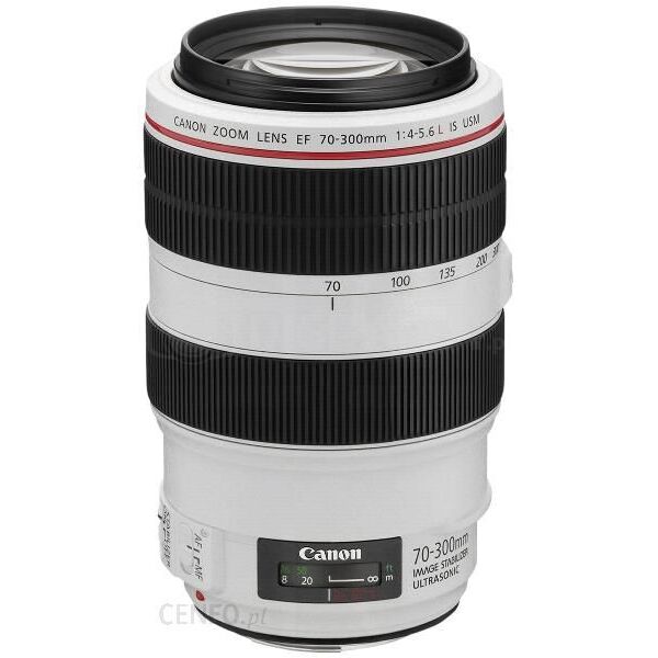 

Объектив Canon EF 70-300mm f/4-5.6L IS USM (0345B002)