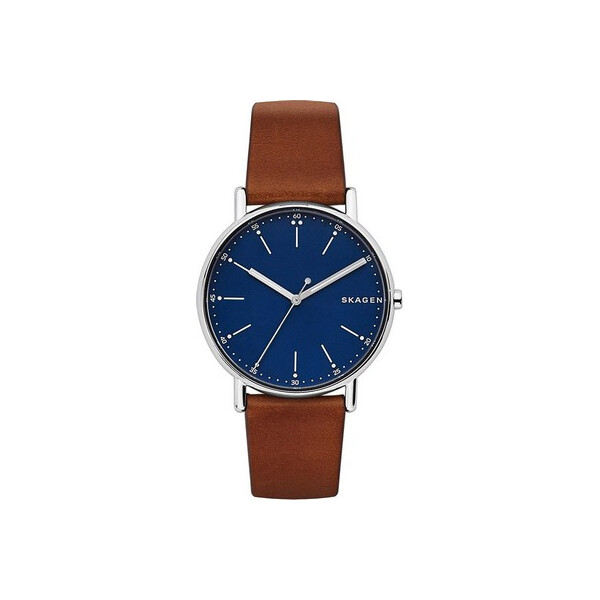 

Часы Skagen SKW6355