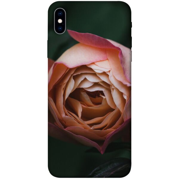 

Чехол itsPrint Роза остин для Apple iPhone XS Max (6.5")