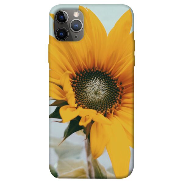 

Чехол itsPrint Подсолнух для Apple iPhone 12 Pro (6.1")