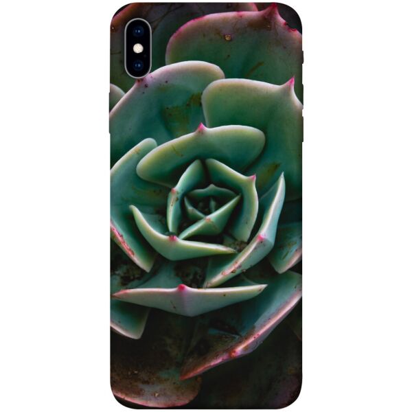 

Чехол itsPrint Эхеверия для Apple iPhone XS Max (6.5")
