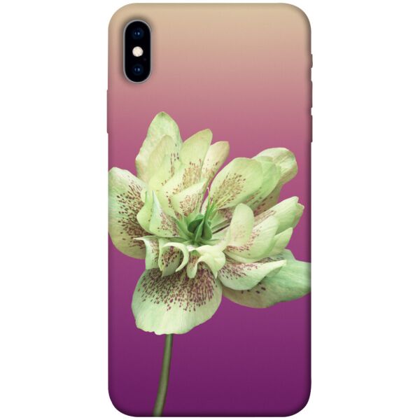 

Чехол itsPrint Розовый пурпур для Apple iPhone XS (5.8")