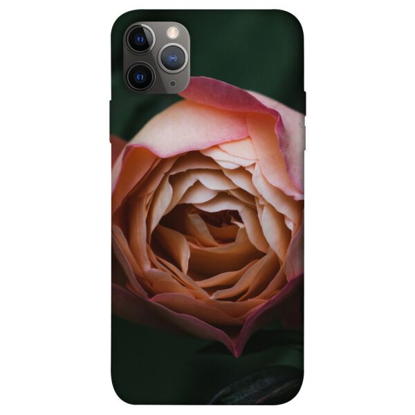 

Чехол itsPrint Роза остин для Apple iPhone 12 Pro Max (6.7")