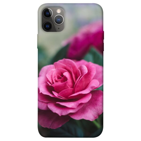 

Чехол itsPrint Роза в саду для Apple iPhone 12 Pro Max (6.7")