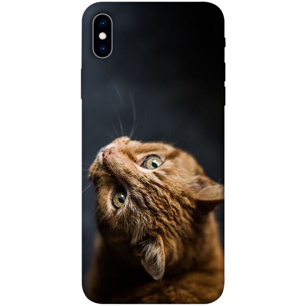

Чехол itsPrint Рыжий кот для Apple iPhone XS Max (6.5")