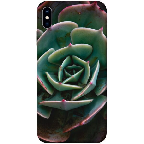 

Чехол itsPrint Эхеверия для Apple iPhone X (5.8")