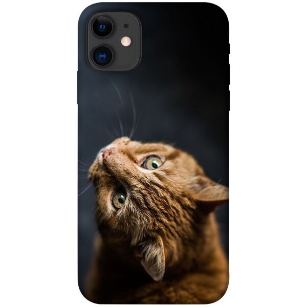 

Чехол itsPrint Рыжий кот для Apple iPhone 11 (6.1")