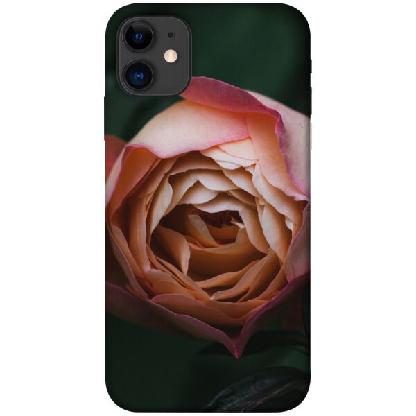 

Чехол itsPrint Роза остин для Apple iPhone 11 (6.1")