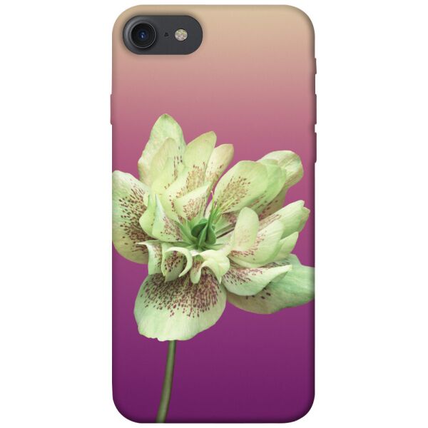 

Чехол itsPrint Розовый пурпур для Apple iPhone 7 / 8 (4.7")