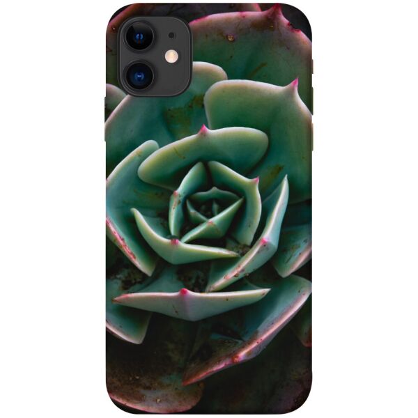 

Чехол itsPrint Эхеверия для Apple iPhone 11 (6.1")
