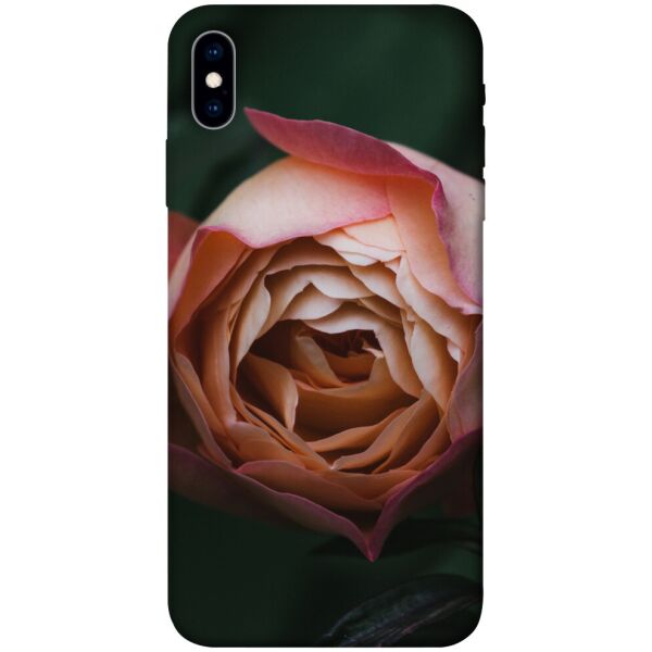 

Чехол itsPrint Роза остин для Apple iPhone XS (5.8")