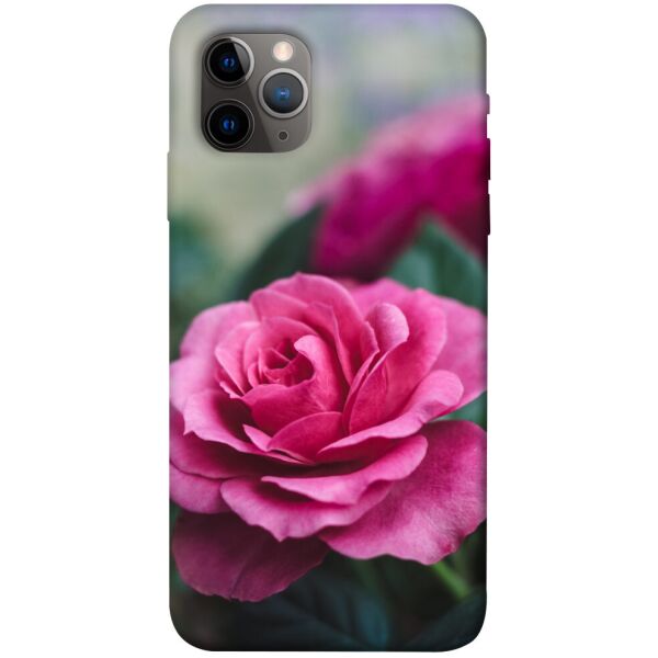 

Чехол itsPrint Роза в саду для Apple iPhone 11 Pro (5.8")