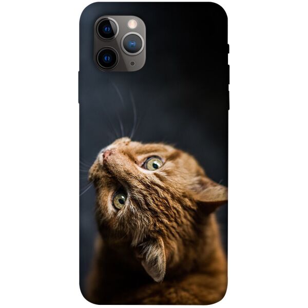 

Чехол itsPrint Рыжий кот для Apple iPhone 11 Pro (5.8")
