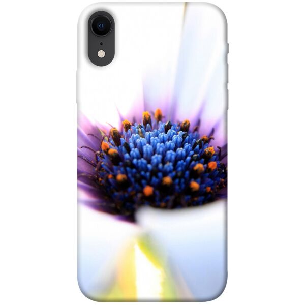

Чехол itsPrint Полевой цветок для Apple iPhone XR (6.1")