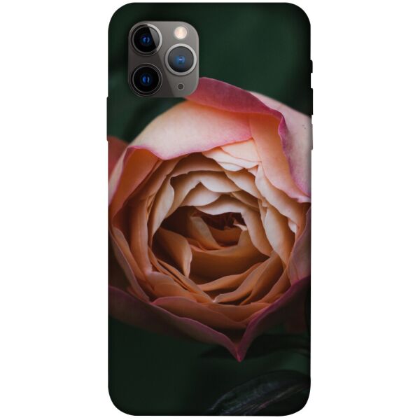 

Чехол itsPrint Роза остин для Apple iPhone 11 Pro (5.8")