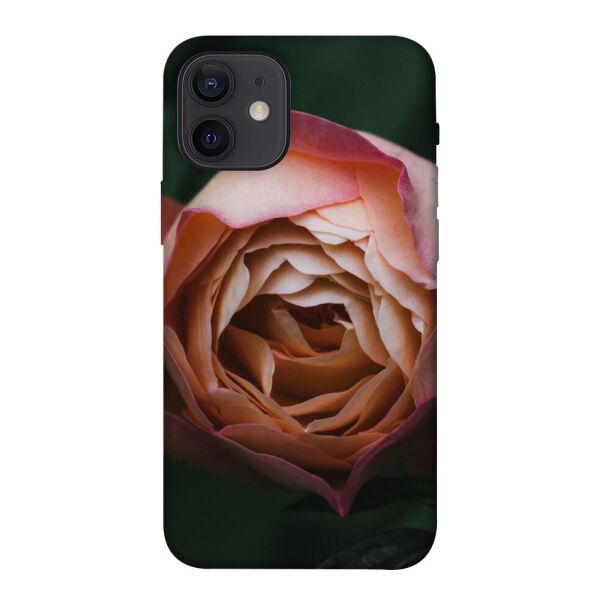 

Чехол itsPrint Роза остин для Apple iPhone 12 mini (5.4")