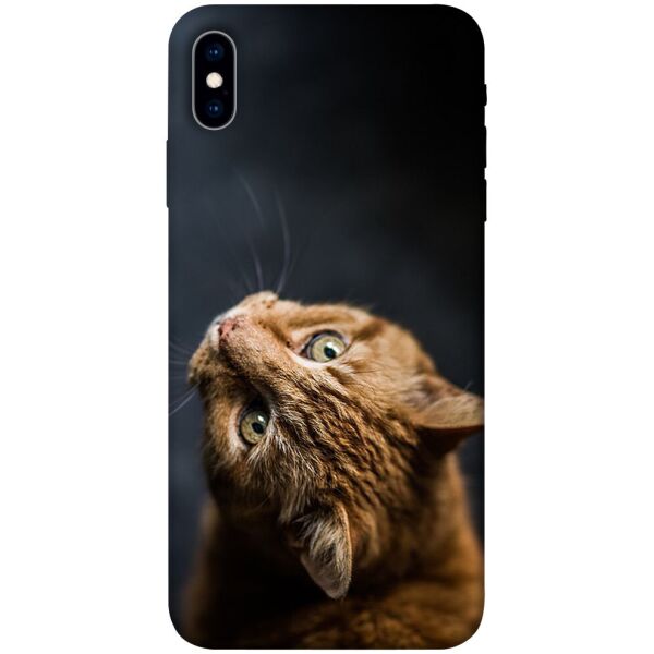 

Чехол itsPrint Рыжий кот для Apple iPhone XS (5.8")