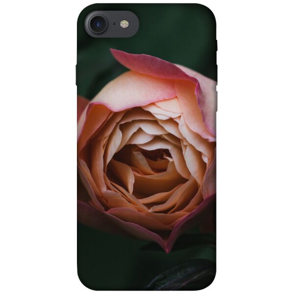 

Чехол itsPrint Роза остин для Apple iPhone 7 / 8 (4.7")