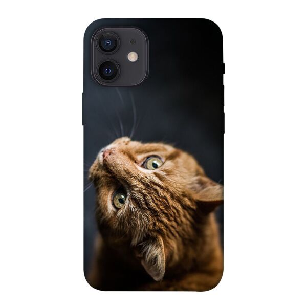 

Чехол itsPrint Рыжий кот для Apple iPhone 12 mini (5.4")