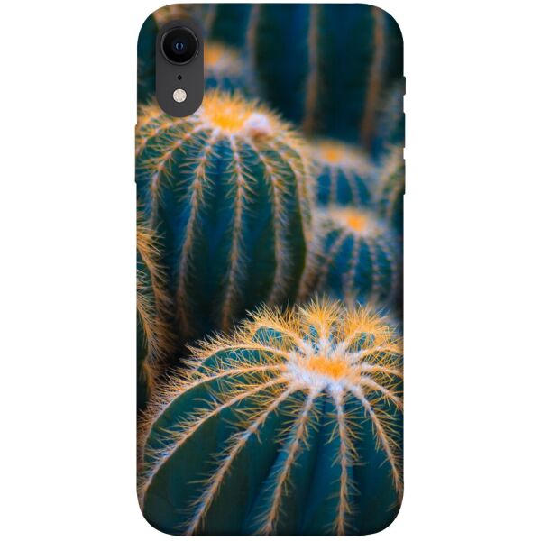 

Чехол itsPrint Кактусы для Apple iPhone XR (6.1")