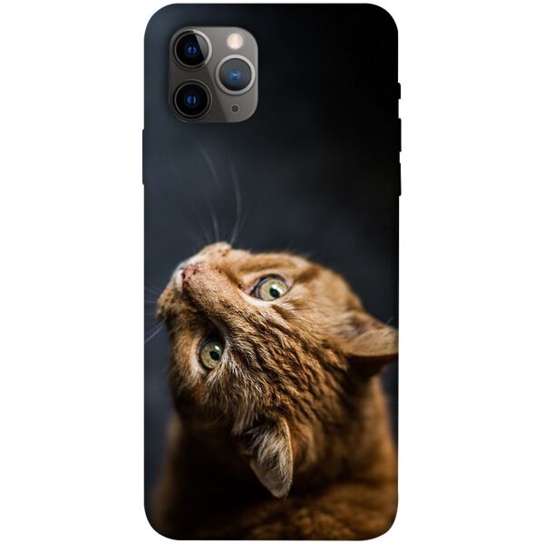 

Чехол itsPrint Рыжий кот для Apple iPhone 11 Pro Max (6.5")
